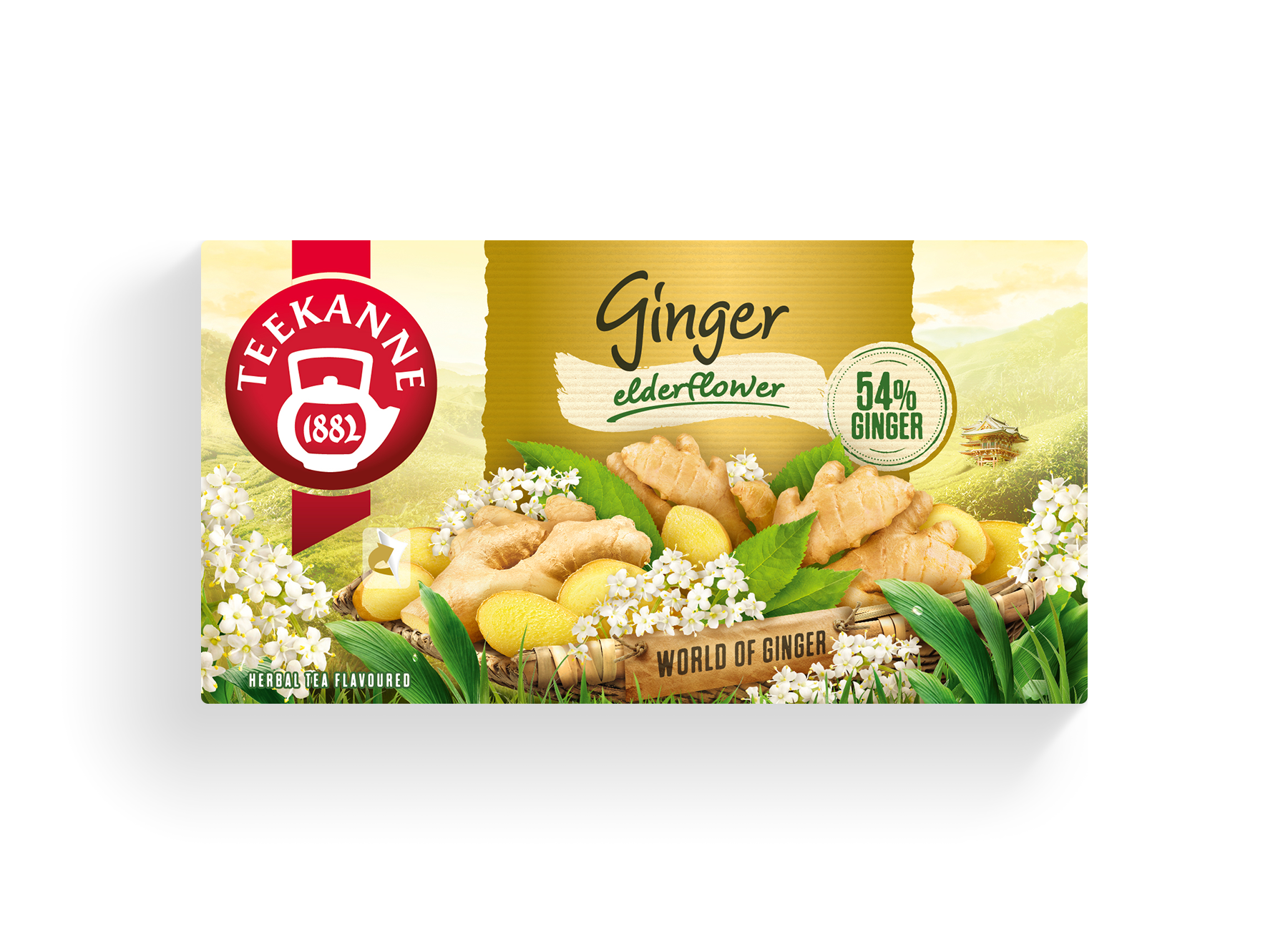 Ginger with elderflower